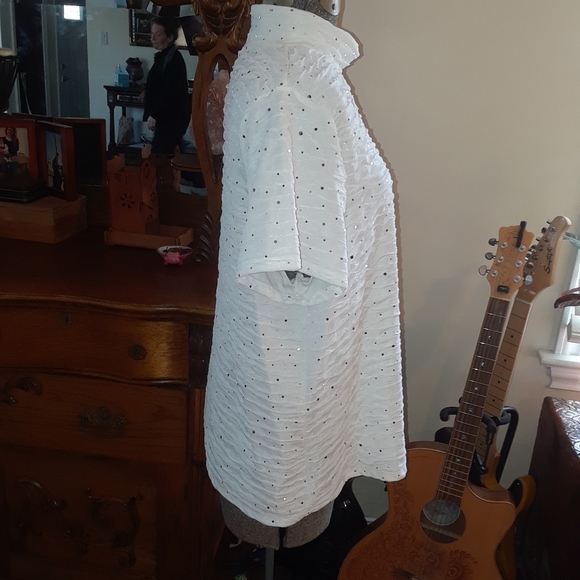 Size Xlarge sparkly sequence the chiffon TanJay blouse shirt - Picture 7 of 16
